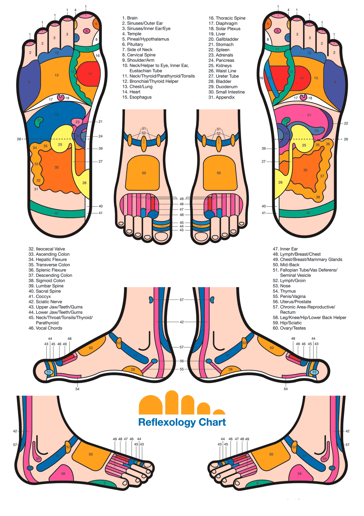 reflexology