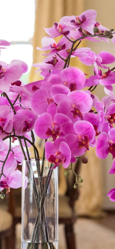 Orchid thai massage in Bolton